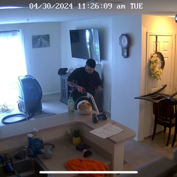Certified Green Team - Carpet Cleaning Near Me - Waltham, Massachusetts Certified Green Team - Carpet Cleaning Near Me - Waltham, Massachusetts