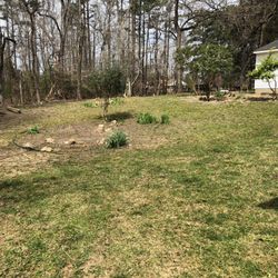 Southern Blue Lawn & Landscaping - Back yard after trees down