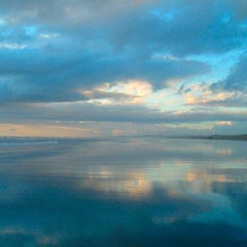 Ocean City State Park - Parks Near Me - Hoquiam, Washington Ocean City State Park - Parks Near Me - Hoquiam, Washington
