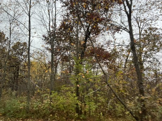 Sherburne National Wildlife Refuge by null