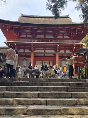 Kasugataisha Shrine by null