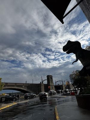 Boston Duck Tours Museum of Science Departure Location by null