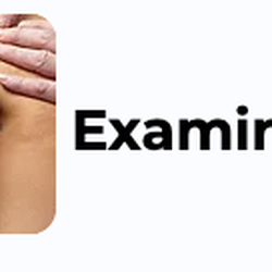Peterson Chiropractic