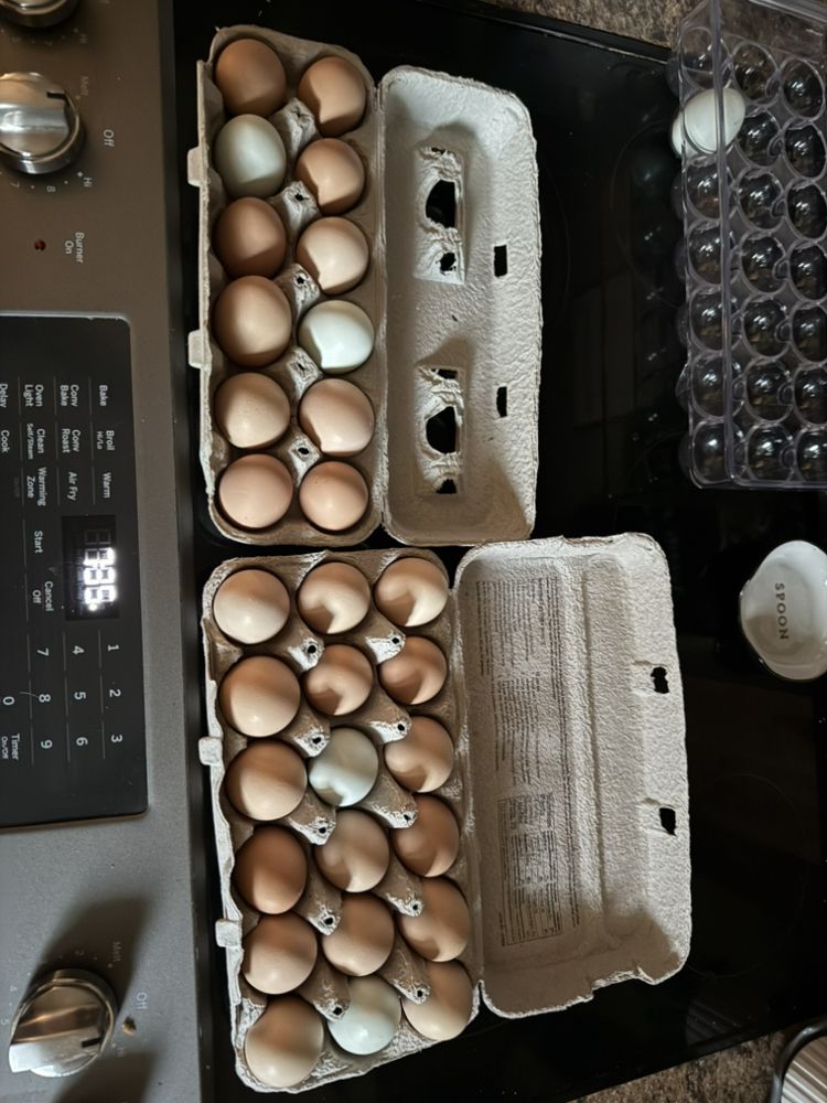 Country Kids Oasis Childcare  - childcare center in Sioux Falls, SD