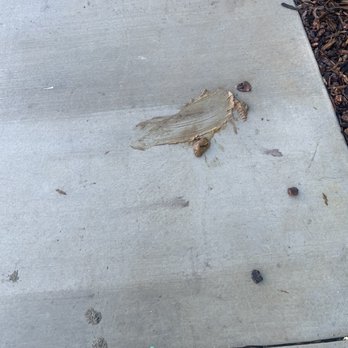 Nova at Green Valley Apartments - Dog feces - Apartments Near Me - Fairfield, California Nova at Green Valley Apartments - Dog feces - Apartments Near Me - Fairfield, California