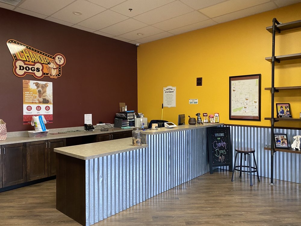 CHANDLER DOGS 24/7 Updated September 2024 129 Photos & 147 Reviews