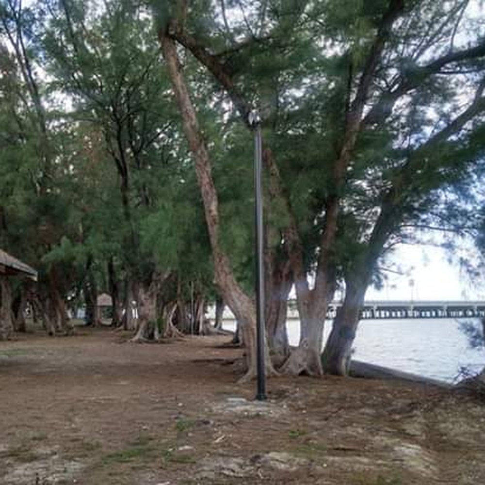 Alice C. Wainwright Park - Tranquil - Parks Near Me - Miami, Florida