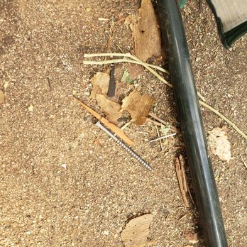 Tugwell Roofing - more large nails we stepped on - Roofing Near Me - Anderson, California Tugwell Roofing - more large nails we stepped on - Roofing Near Me - Anderson, California