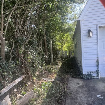 JTrees - side of garage - after - Tree Services Near Me JTrees - side of garage - after - Tree Services Near Me