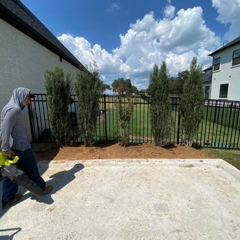 YardaBella - After - Tree Services Near Me