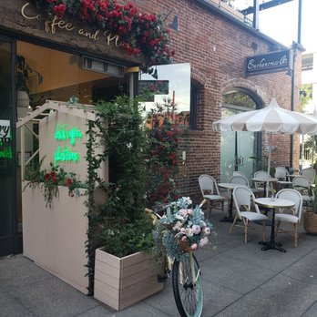 Coffee and Plants - Front of store - Coffee & Tea Near Me - Pasadena, California