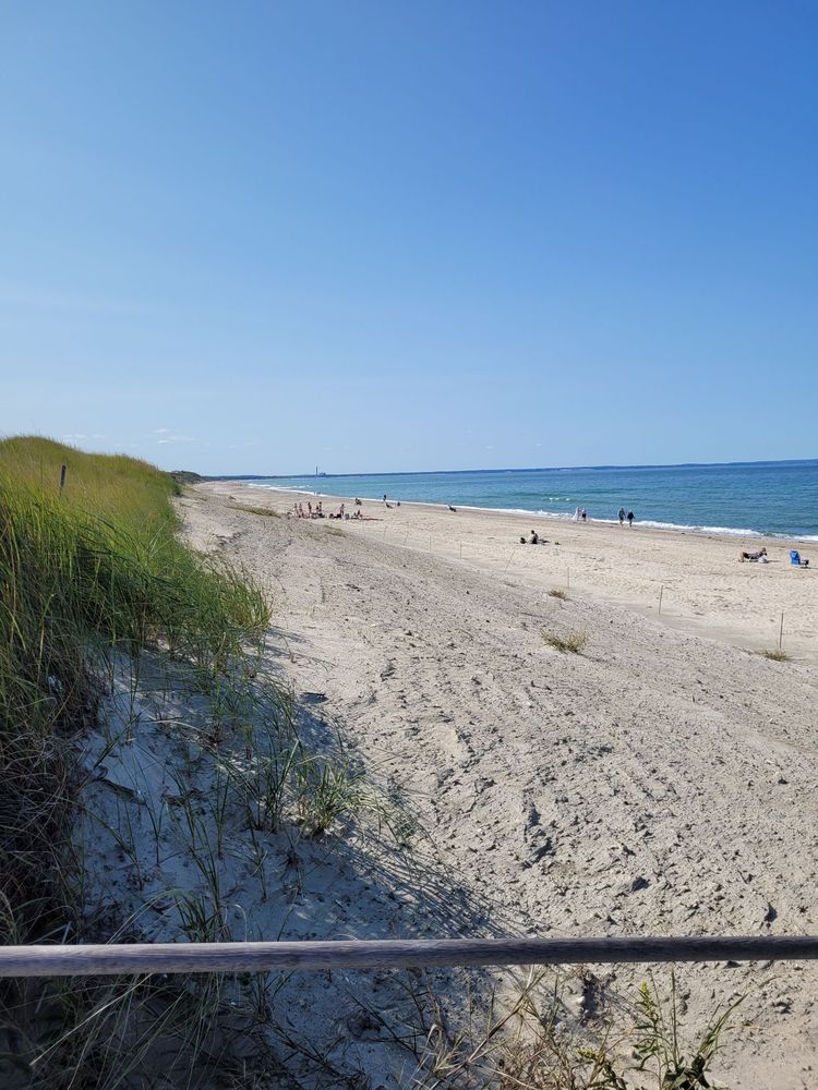 SANDY NECK BEACH PARK Updated September 2024 41 Photos & 39 Reviews