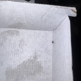 This is the closest I got to it before I freaked out and threw it away. This is the closest I got to it before I freaked out and threw it away.
