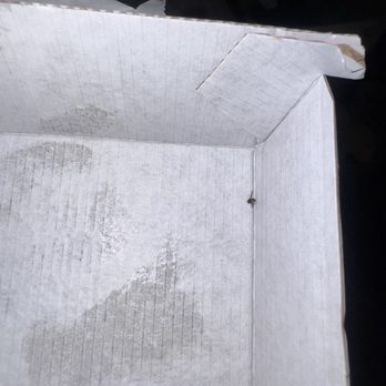 Chick-fil-A - This is the closest I got to it before I freaked out and threw it away. - Fast Food Near Me - Upland, California