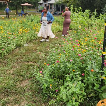 McLawland Farms - Pick Your Own Farms Near Me - Charlotte, North Carolina