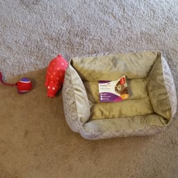 Toys and bed for BJ Toys and bed for BJ