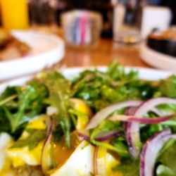 Willow Room - Arugula salad over avocado toast with poached eggs.