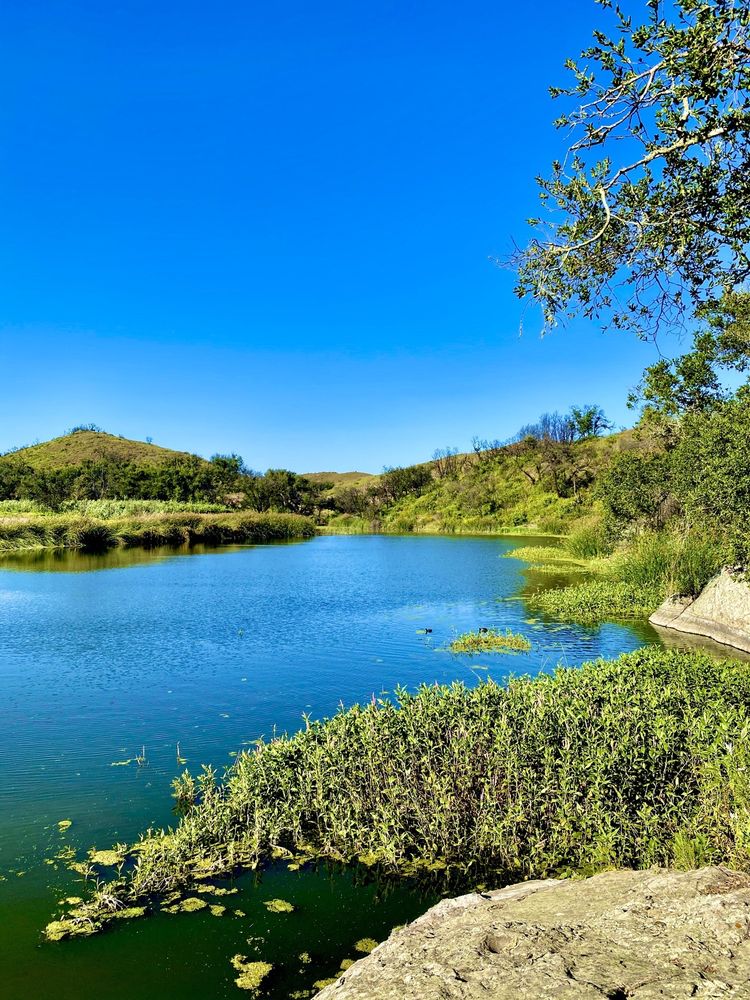 NICHOLAS POND TRAIL Updated September 2024 11 Photos Decker