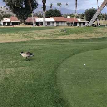 Rancho Las Palmas Golf Course - Golf Near Me - Rancho Mirage, California Rancho Las Palmas Golf Course - Golf Near Me - Rancho Mirage, California