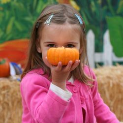 Grossi Family Farm