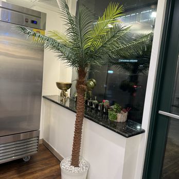 Yezi Coconut Dessert - Desserts Near Me - Bellevue, Washington