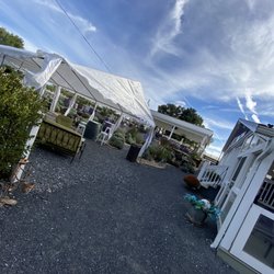 Purple Wolf Vineyard