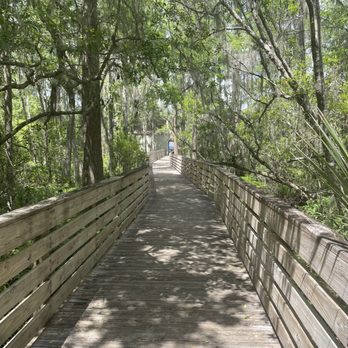 Lake Louisa State Park - Parks Near Me - Clermont, Florida
