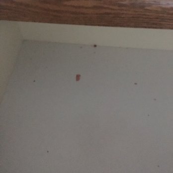 Spring Hill Motel - Dirty drawers, also uncleaned from previous tenants. - Massage Near Me - Wisconsin Dells, Wisconsin Spring Hill Motel - Dirty drawers, also uncleaned from previous tenants. - Massage Near Me - Wisconsin Dells, Wisconsin