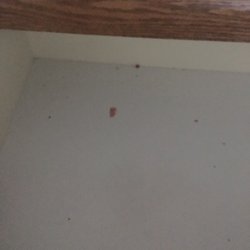 Spring Hill Motel - Dirty drawers, also uncleaned from previous tenants.