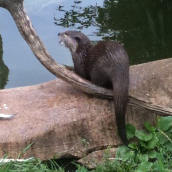 Cotswold Wildlife Park - Zoos Near Me - Burford, OXF Cotswold Wildlife Park - Zoos Near Me - Burford, OXF