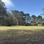 Photo of Rolph Nicol Park