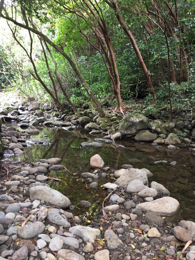 Social spots from Koloa Falls