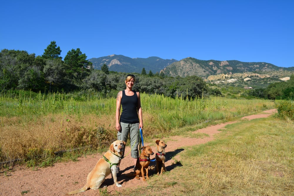 Merry Paw Prints - pet boarding facility in Colorado Springs, CO