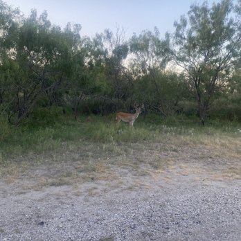 McAllister Park - Parks Near Me - San Antonio, Texas McAllister Park - Parks Near Me - San Antonio, Texas