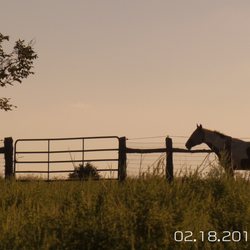 Guarded Heart Farm