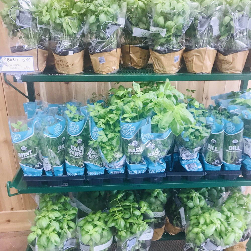 Trader Joe's - Fresh herbs - Grocery Near Me - Virginia Beach, Virginia Trader Joe's - Fresh herbs - Grocery Near Me - Virginia Beach, Virginia