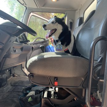 Skinny Wimp Moving Co. - My puppy ran off and got into their truck! Newest employee - Movers Near Me Skinny Wimp Moving Co. - My puppy ran off and got into their truck! Newest employee - Movers Near Me