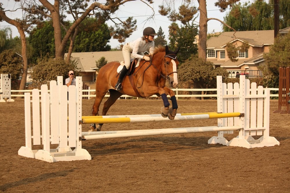 Ever Wood Stables - equestrian in Burbank, CA