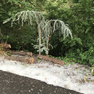 Riverton Park on Yelp