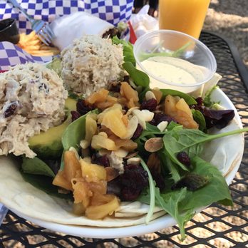 The Waterfront Cafe - Tuna stuffed avocado - Sandwiches Near Me - Chicago, Illinois The Waterfront Cafe - Tuna stuffed avocado - Sandwiches Near Me - Chicago, Illinois