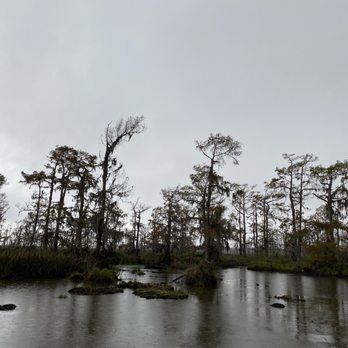Airboat Adventures - Boat Tours Near Me - Lafitte, Louisiana