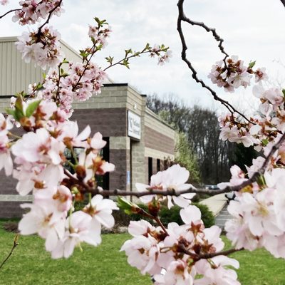 Best Buy DDC #723 - CLOSED, 9780 Mopar Dr, Streetsboro, OH 44241