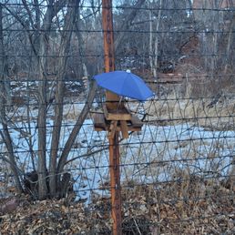 Even in the winter, there are picnics available for the squirrels! Even in the winter, there are picnics available for the squirrels!