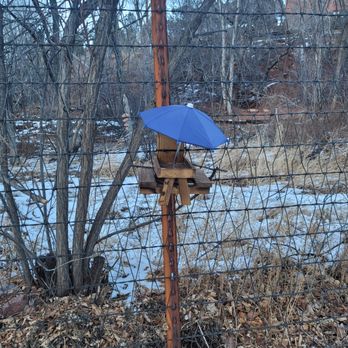Pikes Peak RV Park - Even in the winter, there are picnics available for the squirrels! - RV Parks Near Me - Manitou Springs, Colorado Pikes Peak RV Park - Even in the winter, there are picnics available for the squirrels! - RV Parks Near Me - Manitou Springs, Colorado