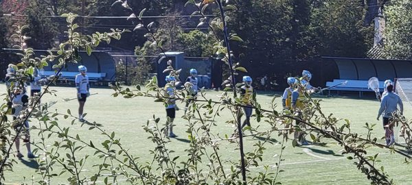 Dominican University of California by null