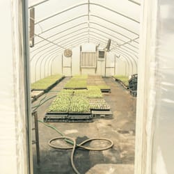 Green Acres Farm Market