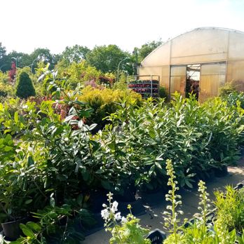 Gartencenter - Florists Near Me - Hamburg, HH