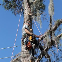 Karney Tree Service