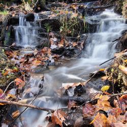 Glendale Falls