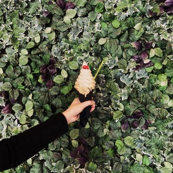 The Pond - Ice Cream & Frozen Yogurt Near Me - Arcadia, California The Pond - Ice Cream & Frozen Yogurt Near Me - Arcadia, California